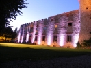 LED lighting of the castle wall of the orchard for a wedding party