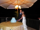 Tonya & Andrew - wedding party - Taglo della torta